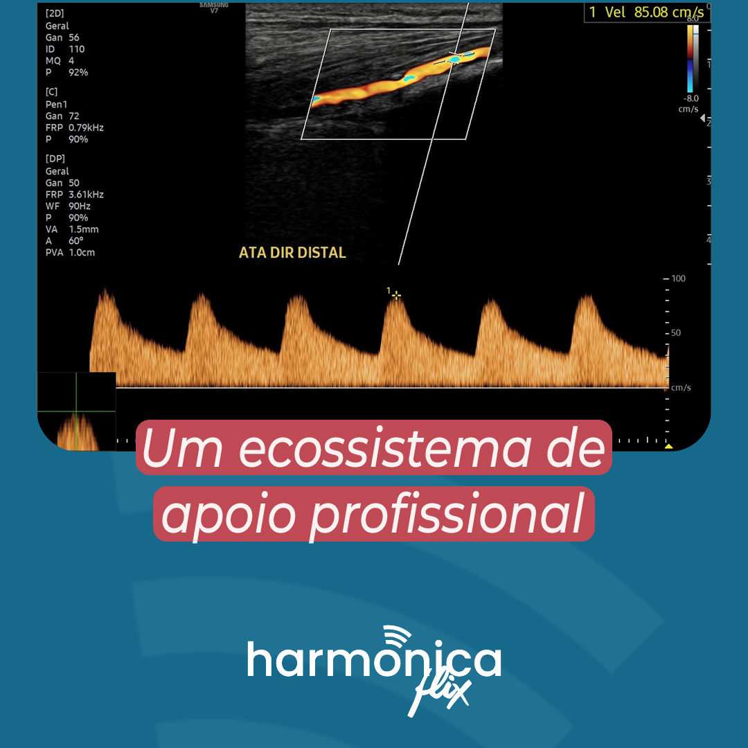 Imagem projeto Harmônica Flix